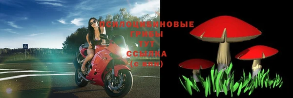 тгк Михайловка
