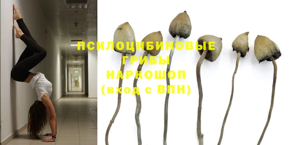 ешки Михайловск