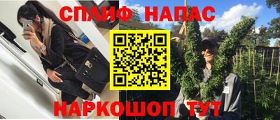 молекула духа Балахна
