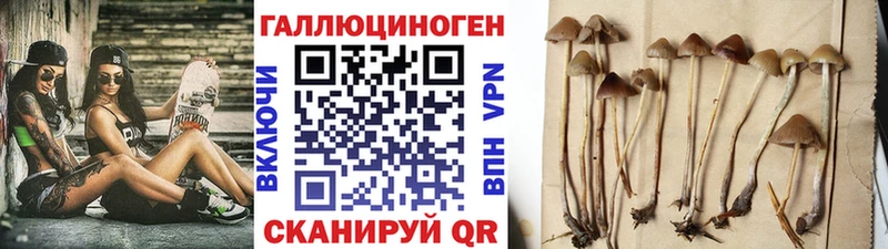 Галлюциногенные грибы ЛСД Курск