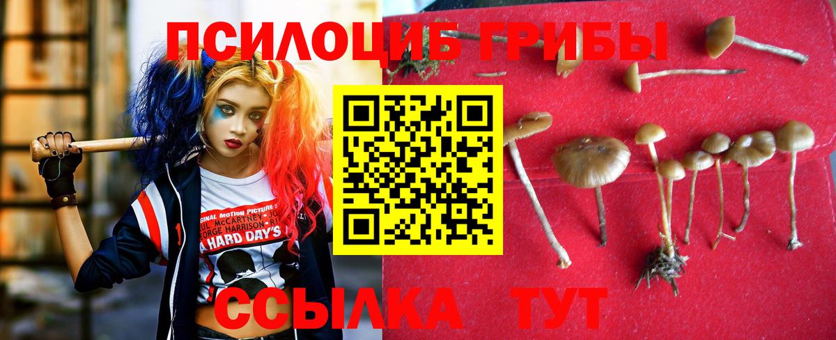Галлюциногенные грибы Cubensis  Вход с VPN  Курск 